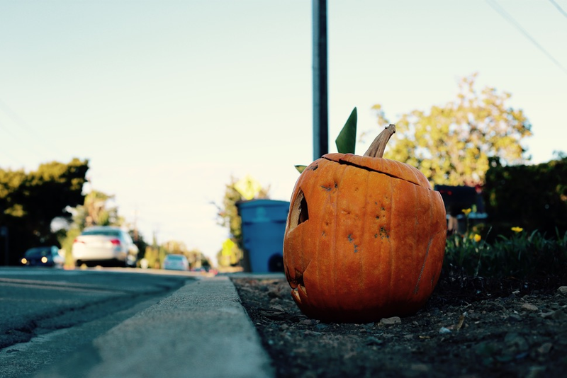 Illustration for article titled 8 Photos Of Your Halloween Antics